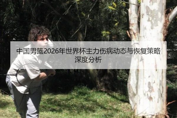 中国男篮2026年世界杯主力伤病动态与恢复策略深度分析
